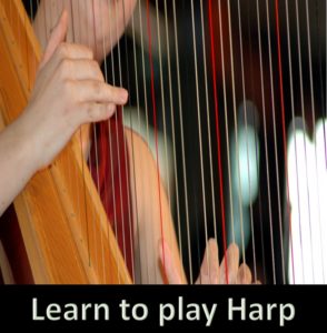 Harp Lessons, Workshops, Lecturs, Coaching in Northern Virginia and Southern Maryland
